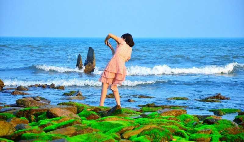 Bãi biển Hoành Sơn đầy rong rêu với nhiều nét độc lạ của Hà Tĩnh