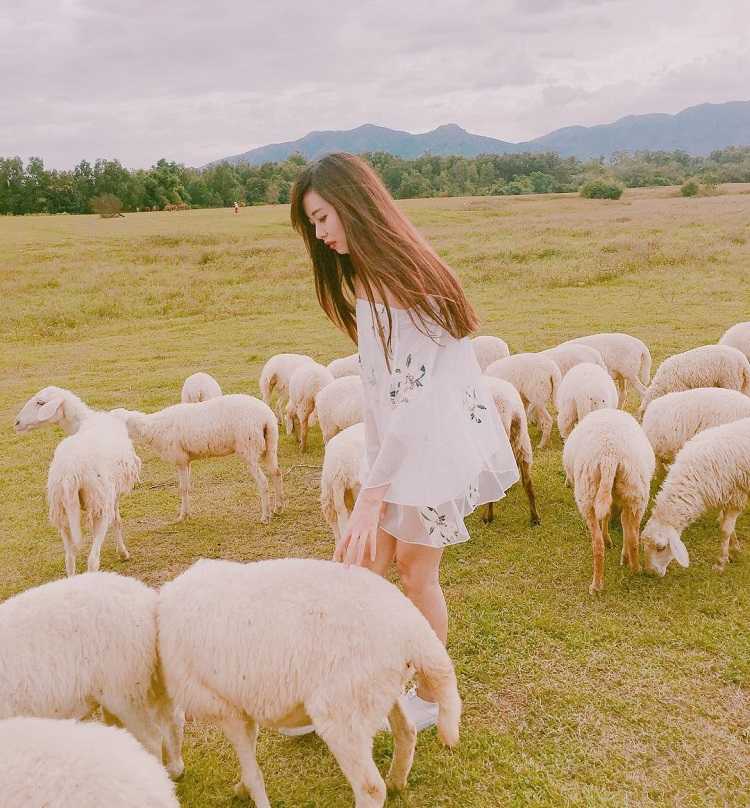 Đồng Cừu An Hòa Ninh Thuận