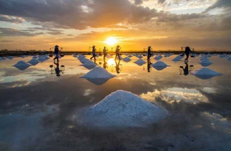 Cánh đồng muối ở bãi biển Sa Huỳnh