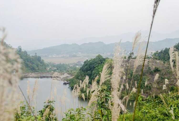 Hồ Ly Phú Thọ (Tuyệt Tình Cốc Phú Thọ)