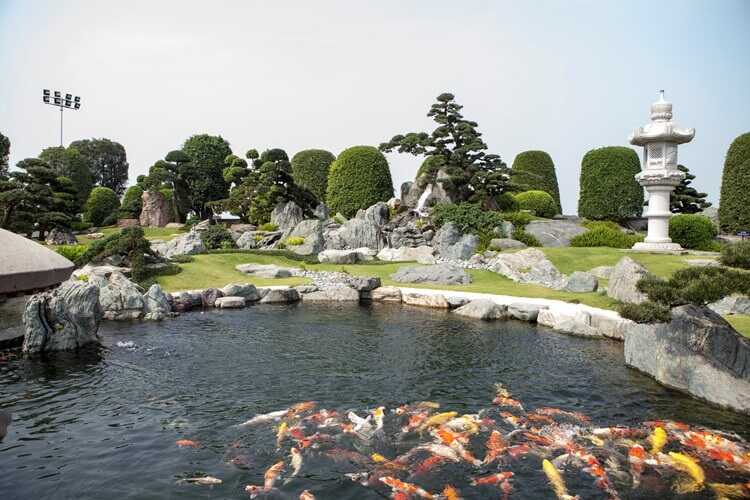 Công viên cá Koi Rin Rin Park, check in sống ảo phong cách Nhật