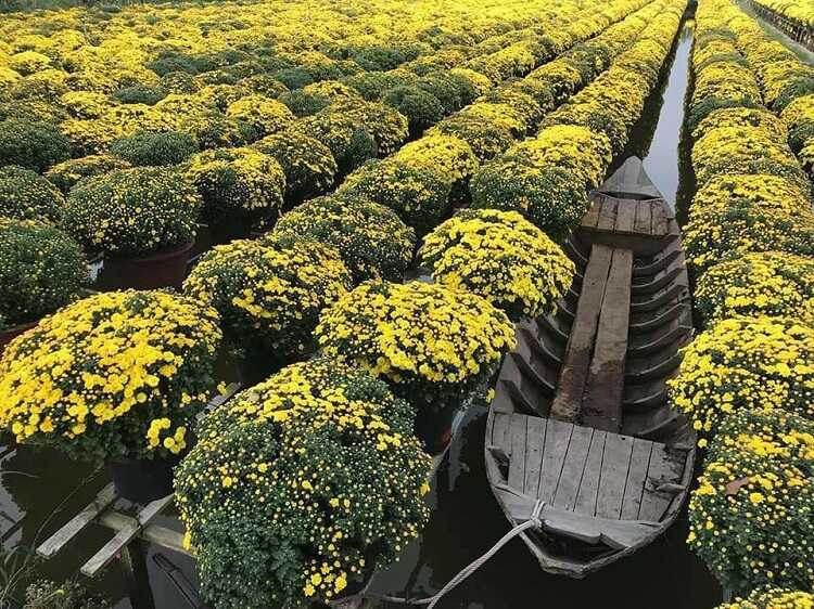 Làng hoa Sa Đéc, khu du lịch chụp hình sống ảo đẹp nhất Đồng Tháp