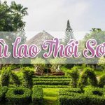 Cù lao Thới Sơn có phải là điểm đến vui chơi cuối tuần gần Sài Gòn?